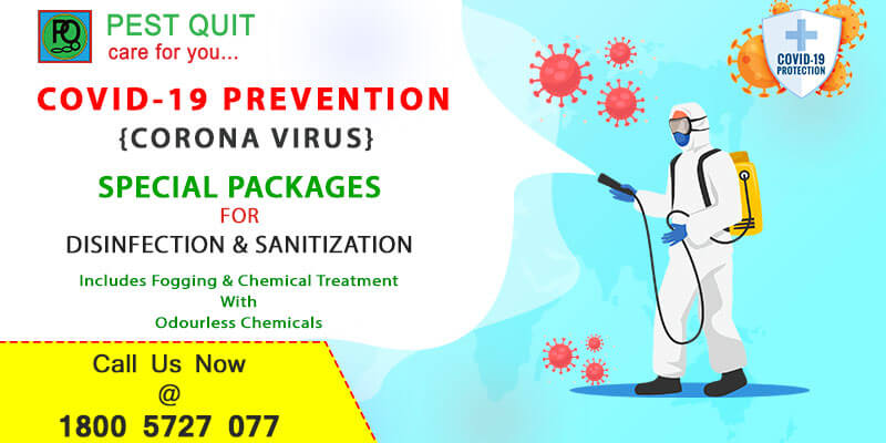 Disinfection and Sanitization in Bangalore