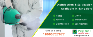 disinfection and sanitization service in bangalore