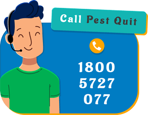 pest-quit-quick-contact