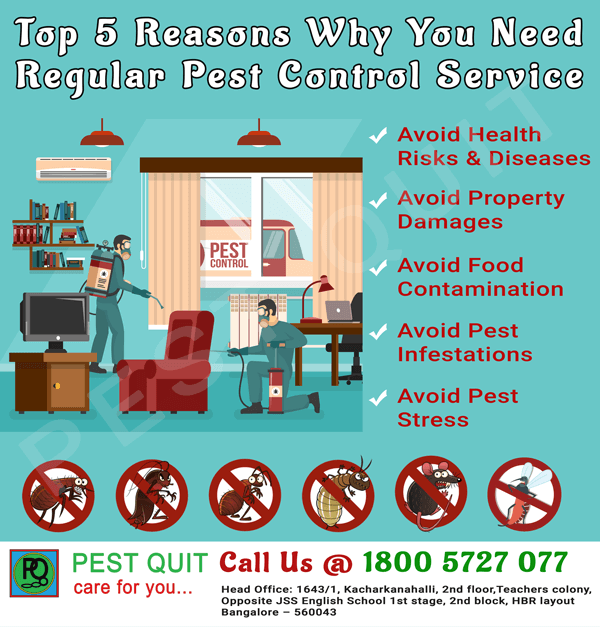 Top 5 Reasons Why You Need Regular Pest Control Service