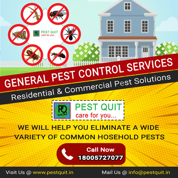 General Pest Control Services In Bangalore | Pest Quit