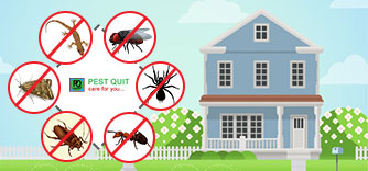 Best Pest Control Services | Pest Quit | 18005727077