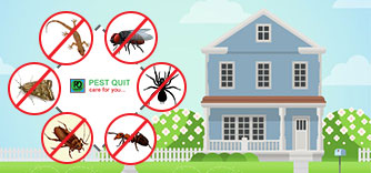 general-pest-control-service