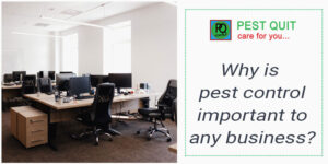 why-is-pest-control-important-to-any-business