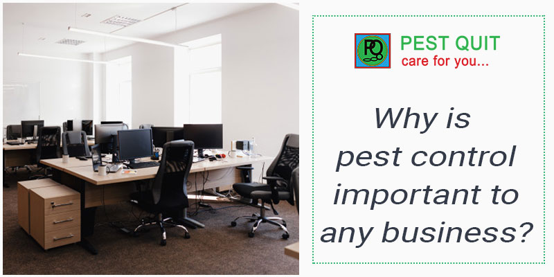 Why Is Pest Control Important To Any Business?