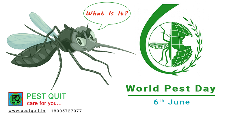 World-pest-day-2021