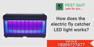 How-does-the-electric-flycatcer-LED-light-works