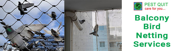 balcony-bird-netting-serrvices