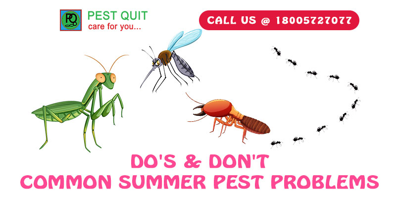 Do’s & Don’t – Common Summer Pest Problems