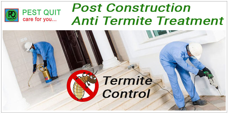 Post Construction Anti Termite Treatment And Procedure