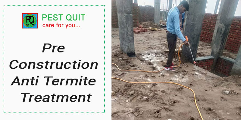 Pre Construction Anti Termite Treatment And Procedure