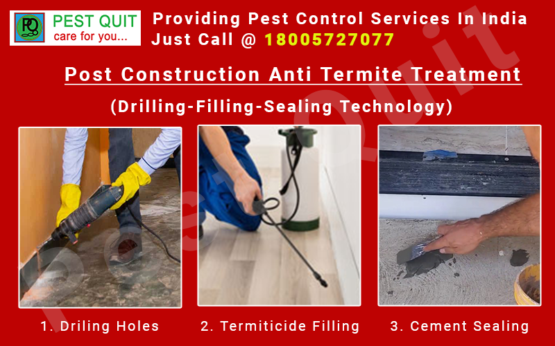 post-construction-anti-termite-treatment-services-in-india