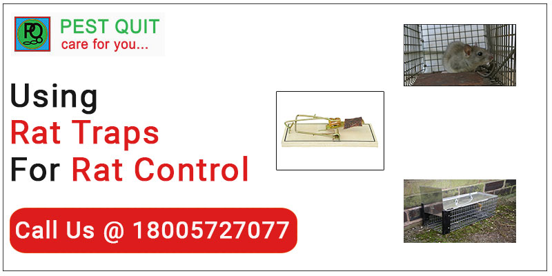 Rat Pest Control In India
