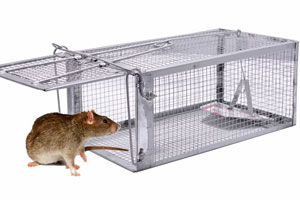 rat-cage-trap for rat control