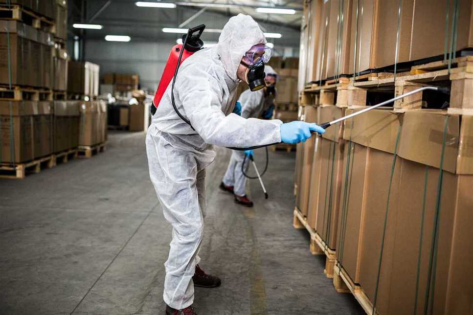 Hire Professional Warehouse Pest Control | Pest Quit