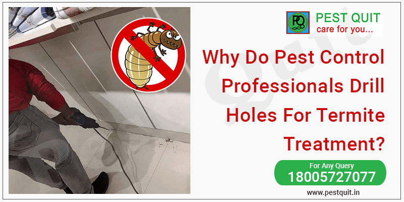 Why Do Pest Control Professionals Drill Holes For Termite Treatment