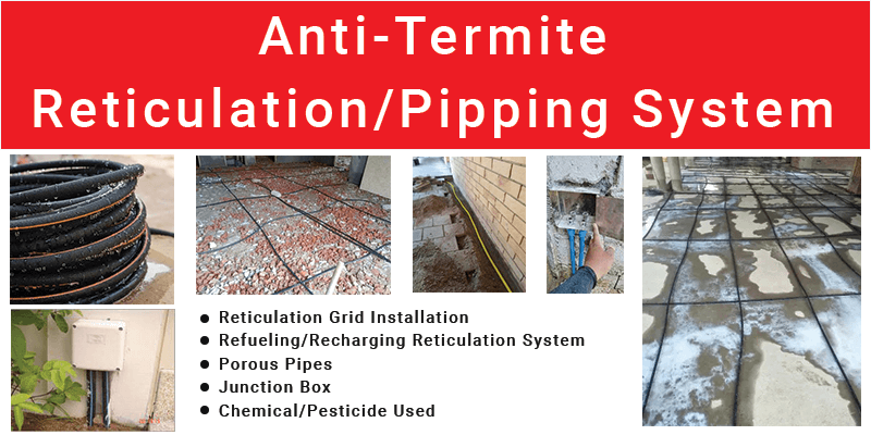 Anti-termite-pipping-system