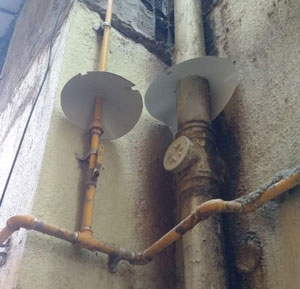rat-guard-installation-service-for-drainage-pipes