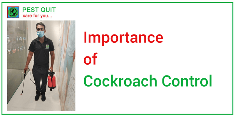 Importance Of Cockroach Control