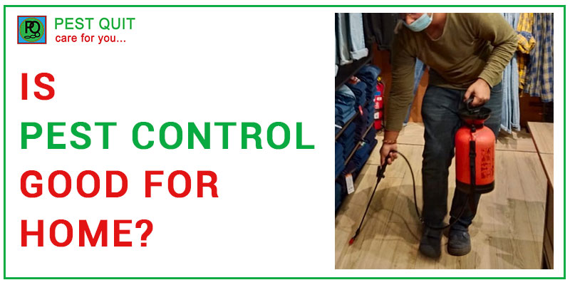 Is Pest Control Good For Home
