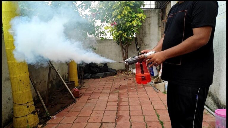 mosquito fogging service in india