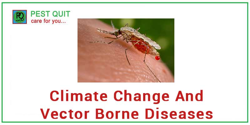 Climate Change And Vector Borne Diseases