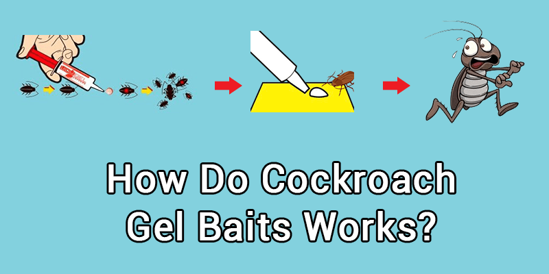 How Do Cockroach Gel Bait Works?