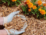 gardening mulch