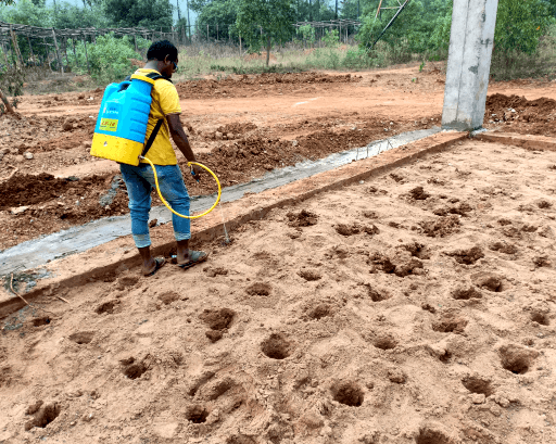 pre construction termite treatment cost