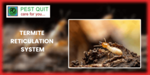 termite reticulation system