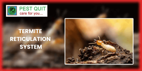 What Is A Termite Reticulation System For Pest Control?