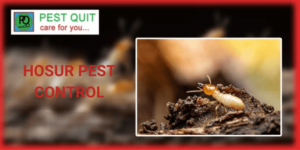 hosur pest control