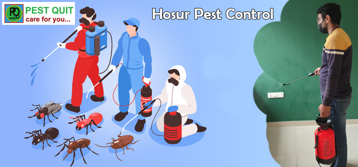 Hosur Pest Control