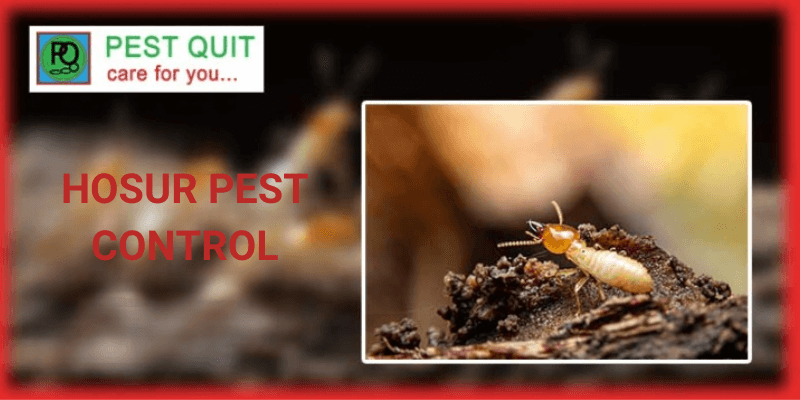 Hosur Pest Control & Termite Control Service