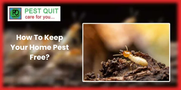 PEST QUIT PEST FREE HOME