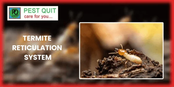 PEST QUIT Termite-reticulation-system