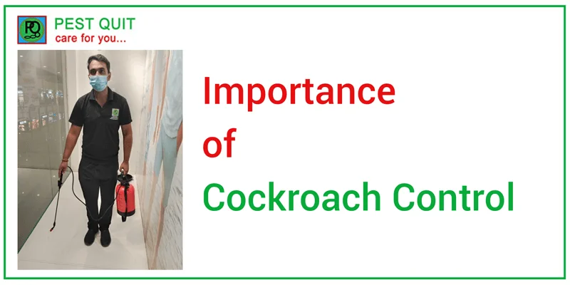 PEST QUIT importance-of-cockroach-control-1