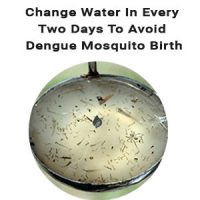 change-dengue-water