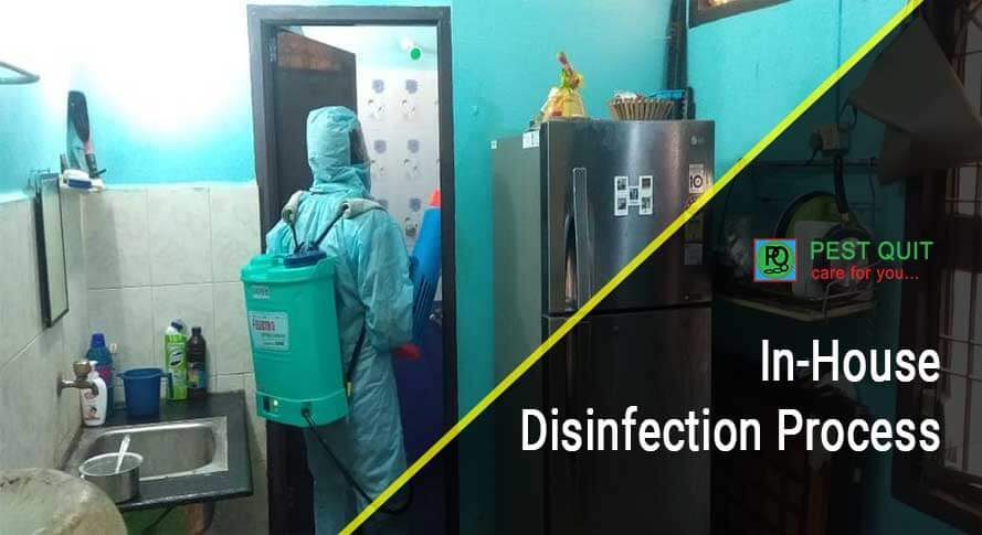 disinfection service
